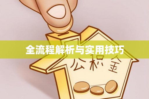 深泽全流程解析与实用技巧