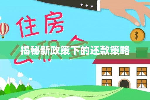 深泽揭秘新政策下的还款策略
