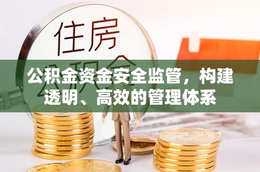 深泽公积金资金安全监管，构建透明、高效的管理体系