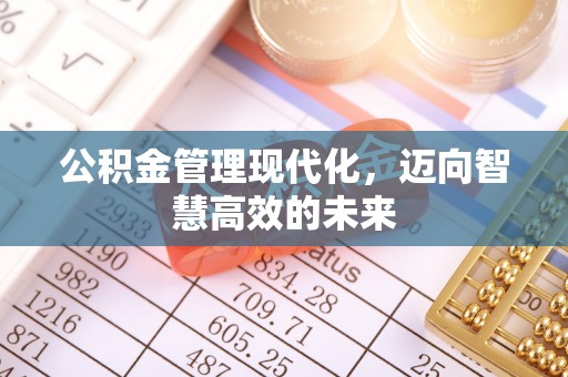 深泽公积金管理现代化，迈向智慧高效的未来