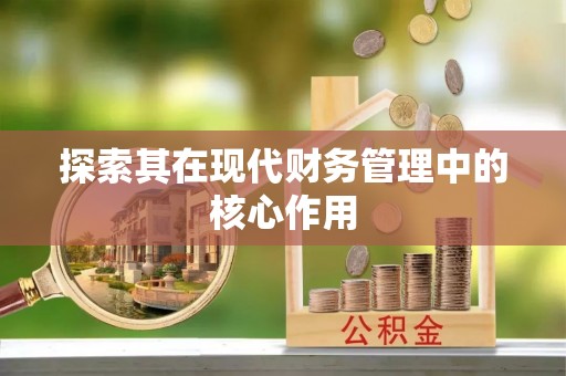 深泽探索其在现代财务管理中的核心作用