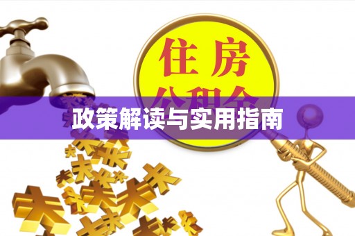 深泽政策解读与实用指南