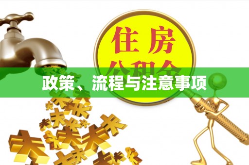 深泽政策、流程与注意事项
