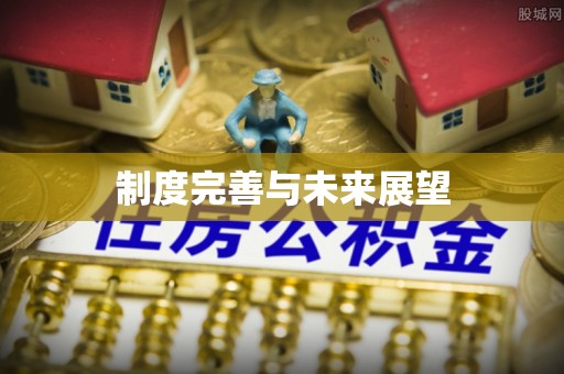 深泽制度完善与未来展望