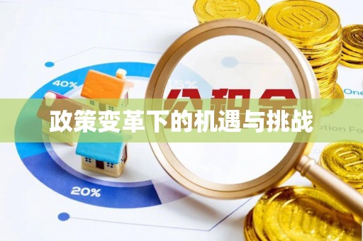 深泽政策变革下的机遇与挑战