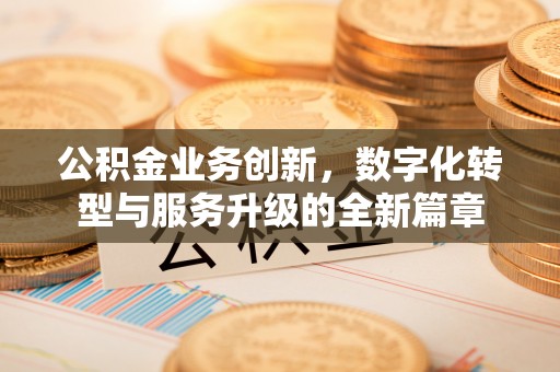 深泽公积金业务创新，数字化转型与服务升级的全新篇章