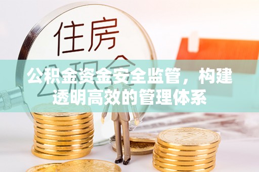 深泽公积金资金安全监管，构建透明高效的管理体系
