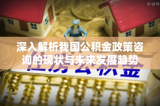 深泽深入解析我国公积金政策咨询的现状与未来发展趋势