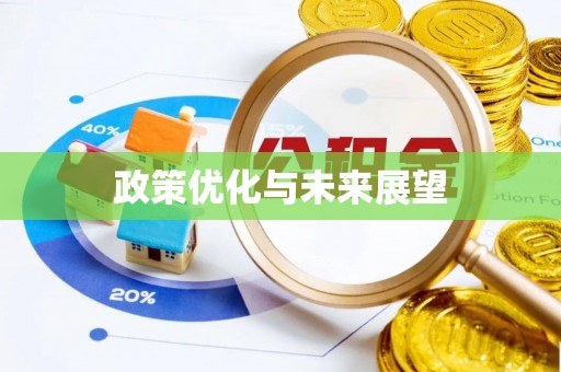 深泽政策优化与未来展望
