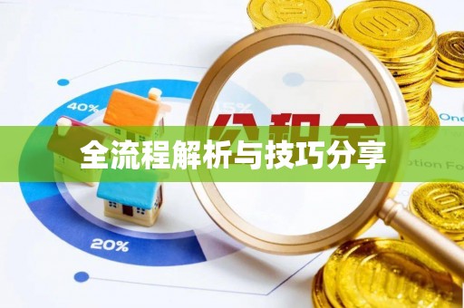 深泽全流程解析与技巧分享