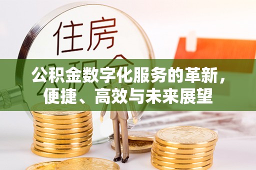 深泽公积金数字化服务的革新，便捷、高效与未来展望