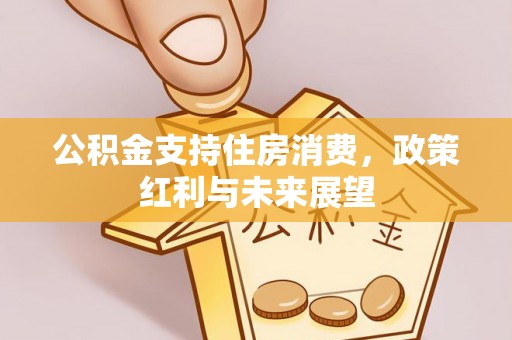 深泽公积金支持住房消费，政策红利与未来展望