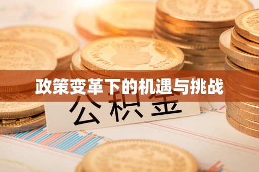 深泽政策变革下的机遇与挑战