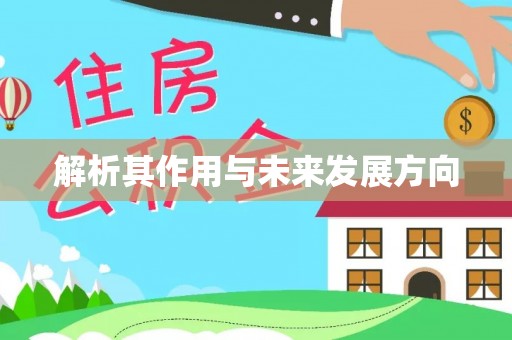 深泽解析其作用与未来发展方向
